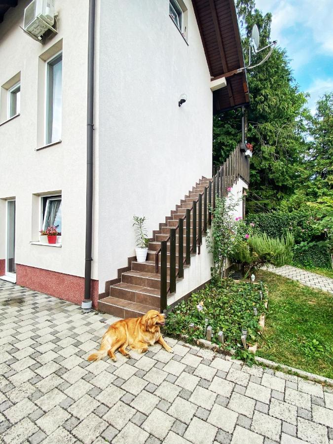Hotel Guesthouse Stari Jasen Velika Mlaka Exterior photo