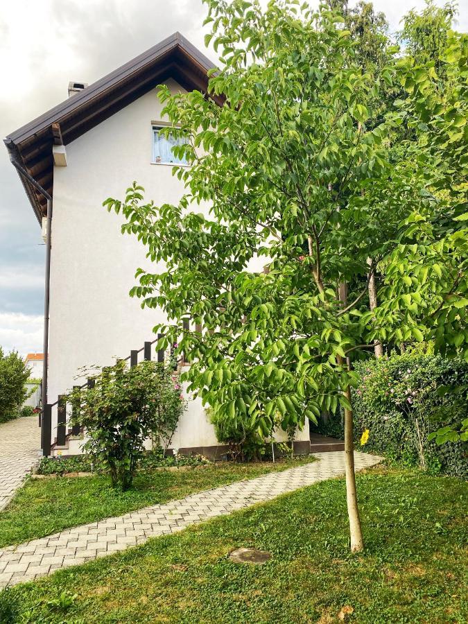 Hotel Guesthouse Stari Jasen Velika Mlaka Exterior photo